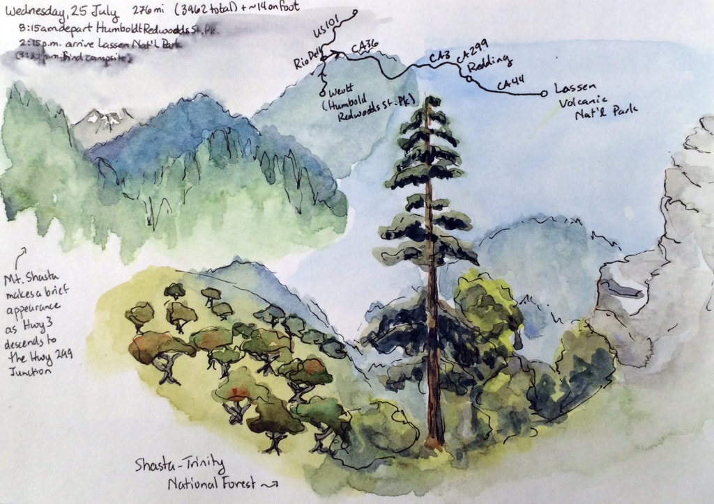 A line and wash painting of two scenes in Shasta National Forest.