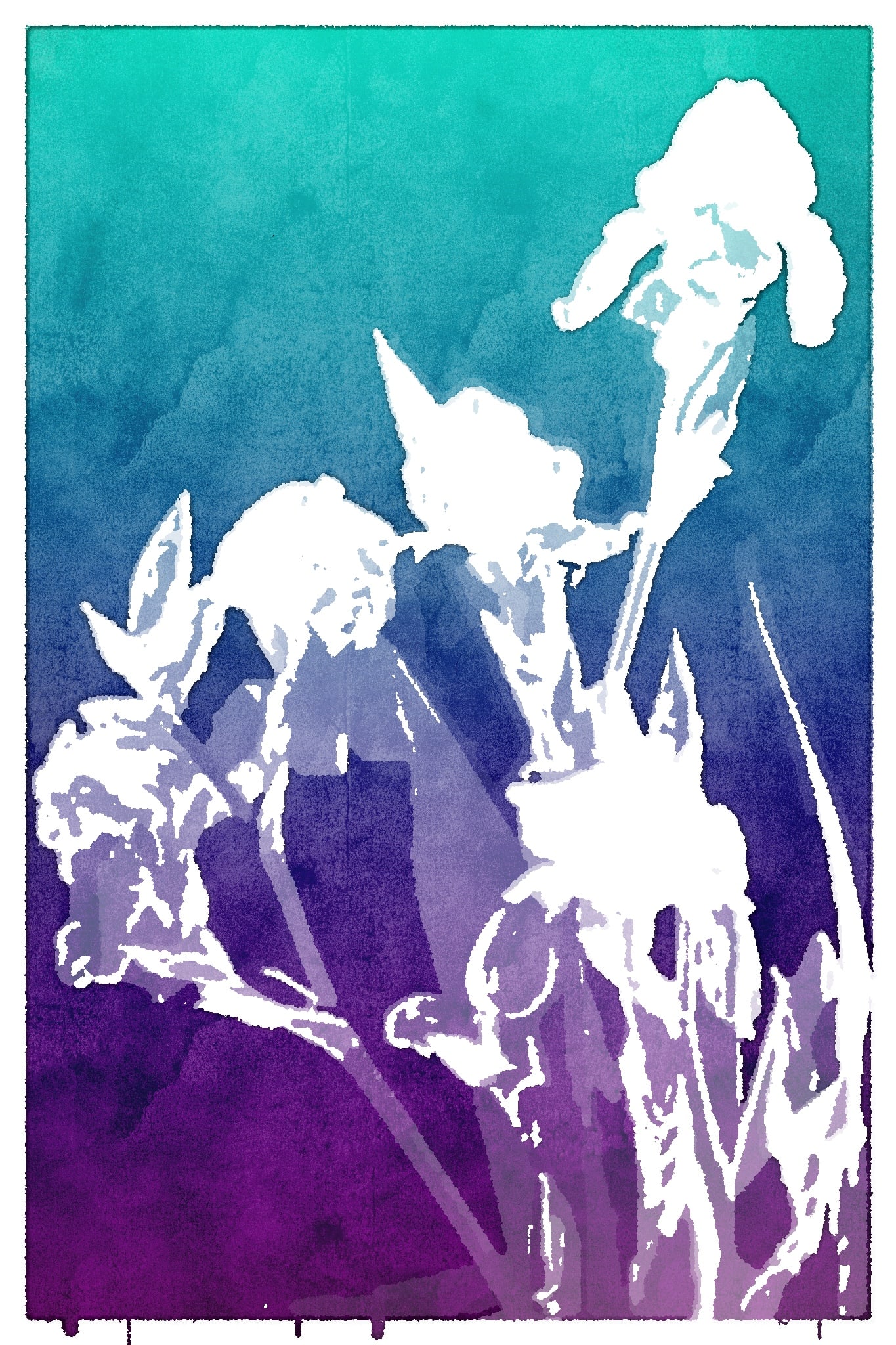 A photo of irises processed by Popsicolor. Makes it really easy to see just the big shapes!